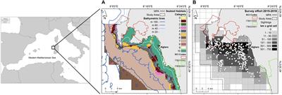 Common Bottlenose Dolphin Protection and Sustainable Boating: Species Distribution Modeling for Effective Coastal Planning